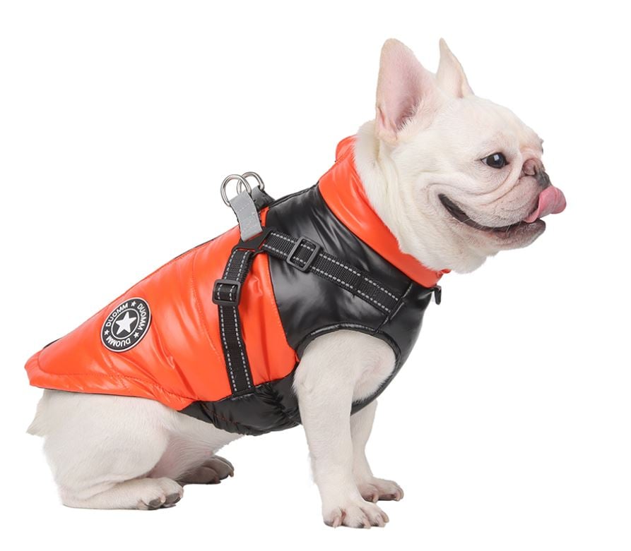 49% OFF🔥Upgraded Dog's Waterproof Winter Jacket with Integrated Harness