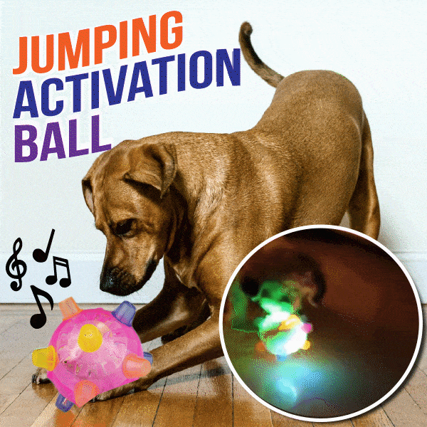 🔥Jumping Activation Ball for Dogs🐶🥎