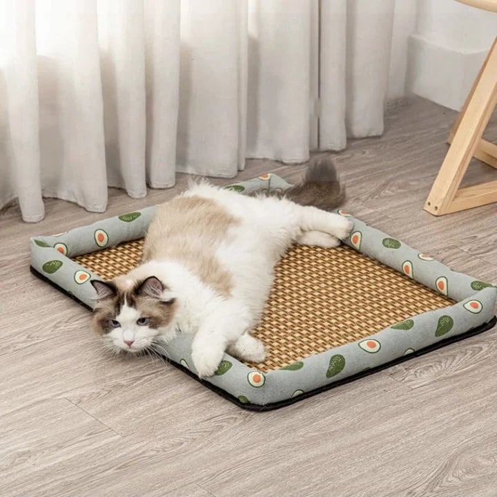 The Coolest and MOST Comfortable Cat Bed in Summer