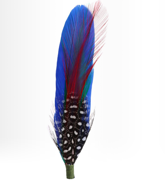 Blue Hat Feather one
