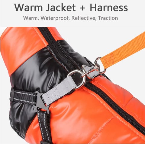 49% OFF🔥Upgraded Dog's Waterproof Winter Jacket with Integrated Harness