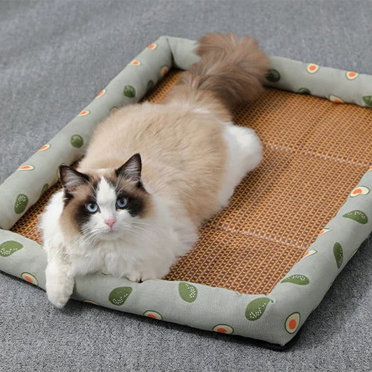 The Coolest and MOST Comfortable Cat Bed in Summer