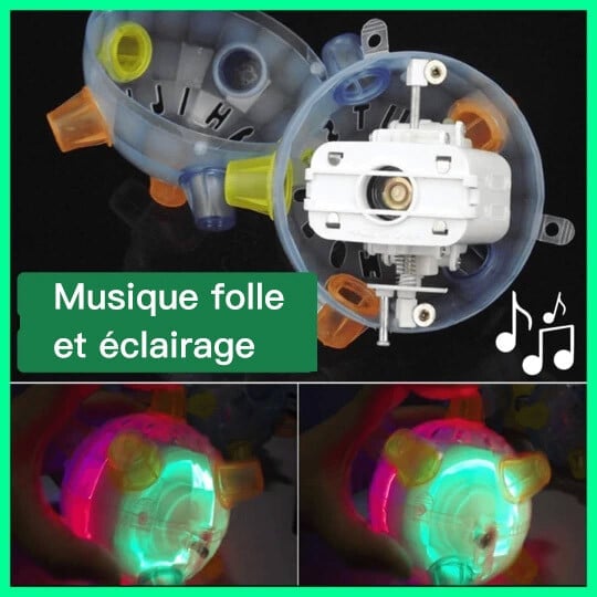 🔥Jumping Activation Ball for Dogs🐶🥎