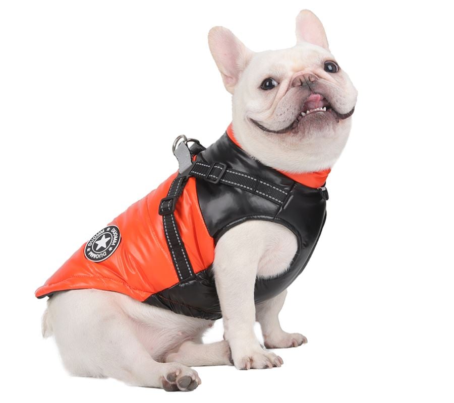 49% OFF🔥Upgraded Dog's Waterproof Winter Jacket with Integrated Harness