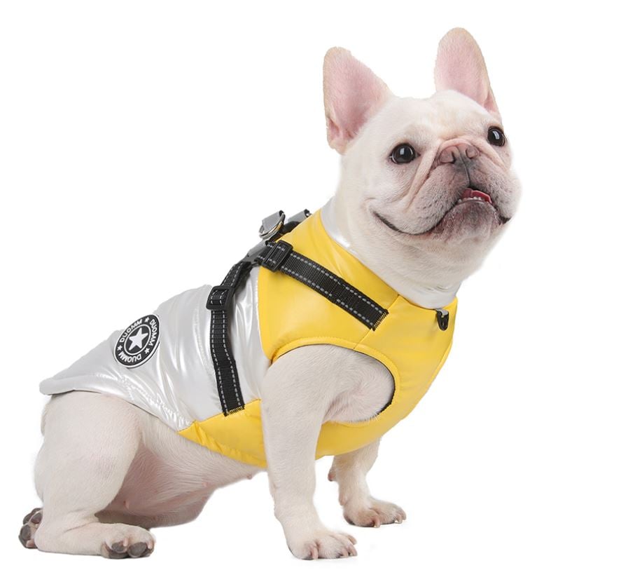 49% OFF🔥Upgraded Dog's Waterproof Winter Jacket with Integrated Harness