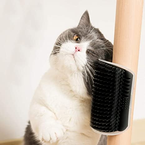 🔥Corner Massage Cat Brush