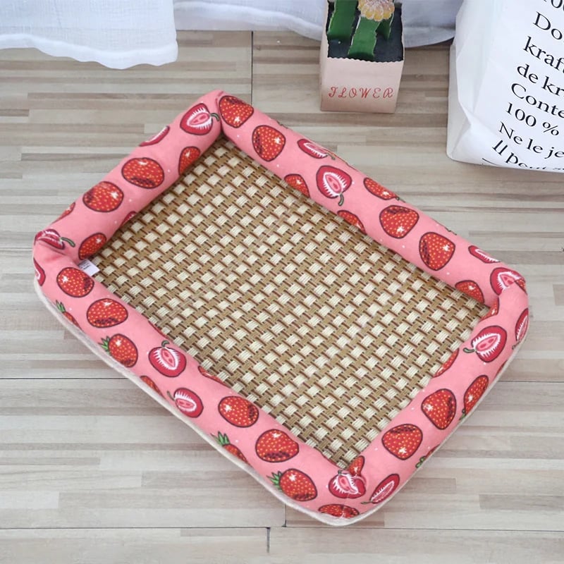 The Coolest and MOST Comfortable Cat Bed in Summer